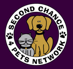 second chance adoptable dogs